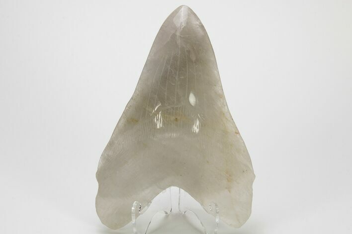 7.4" Realistic, Carved Smoky Quartz Megalodon Tooth - Replica - Photo 1